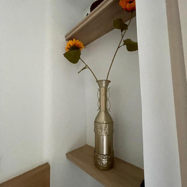 Macondo suite, in Pozos Colorados - One-Bedroom Apartment - 38