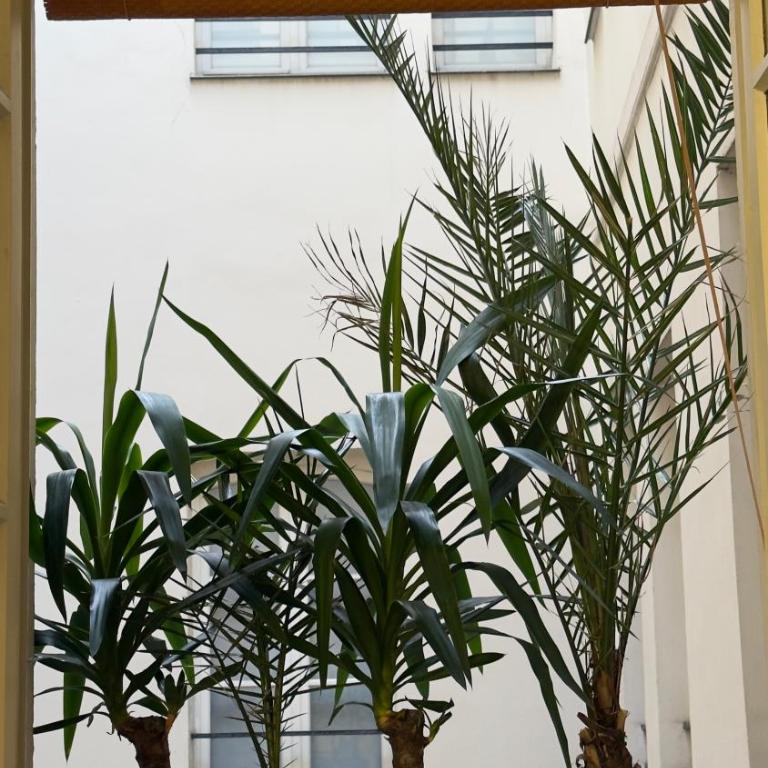 Fantastic heart of Marais Paris - One-Bedroom Apartment - 10