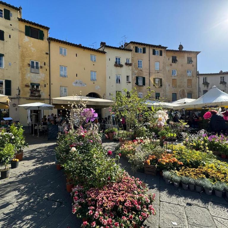 A Bright and Cozy Apartment with Stunning Views in the Heart of Lucca - Appartamento con 1 Camera da Letto - 25