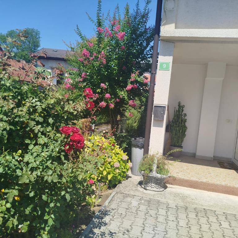 Amor-Dream - Apartman sa 2 Spavaće Sobe - 13