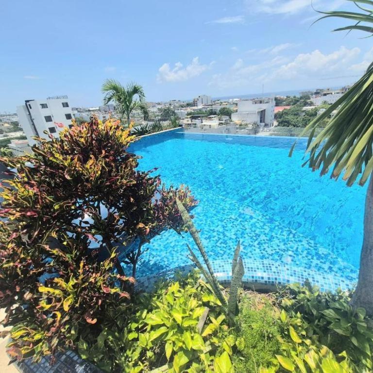 Relájate en la playa y la piscina con vista al mar - Apartamento de 1 dormitorio - 55