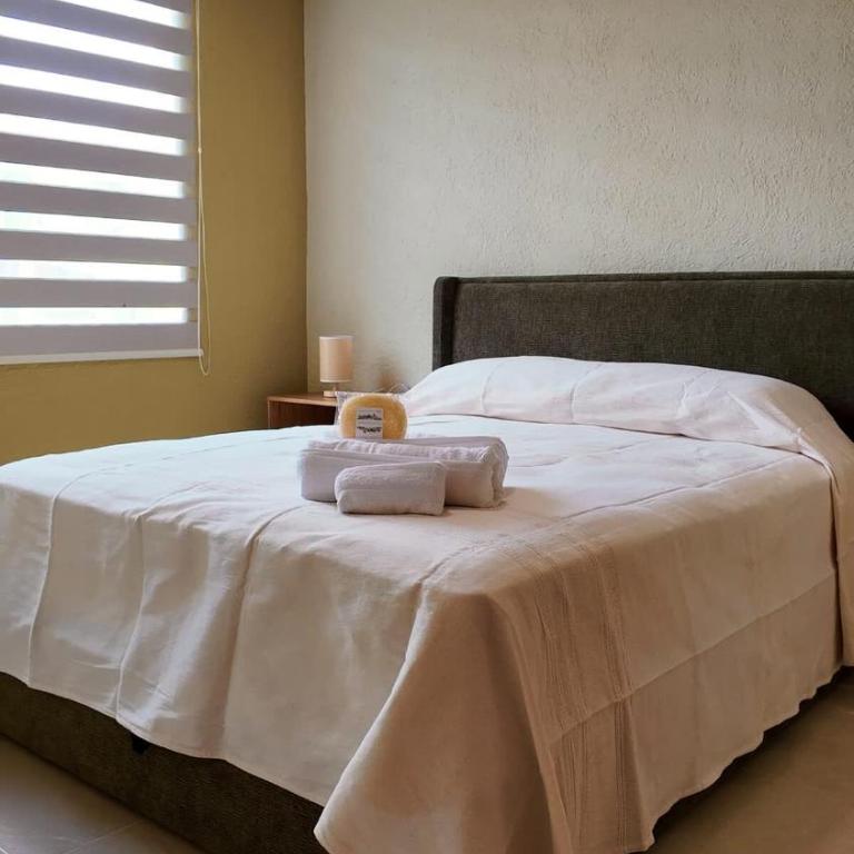 Ground Floor Apartment for FIFA World Cup 2026 - One-Bedroom Apartment - 5