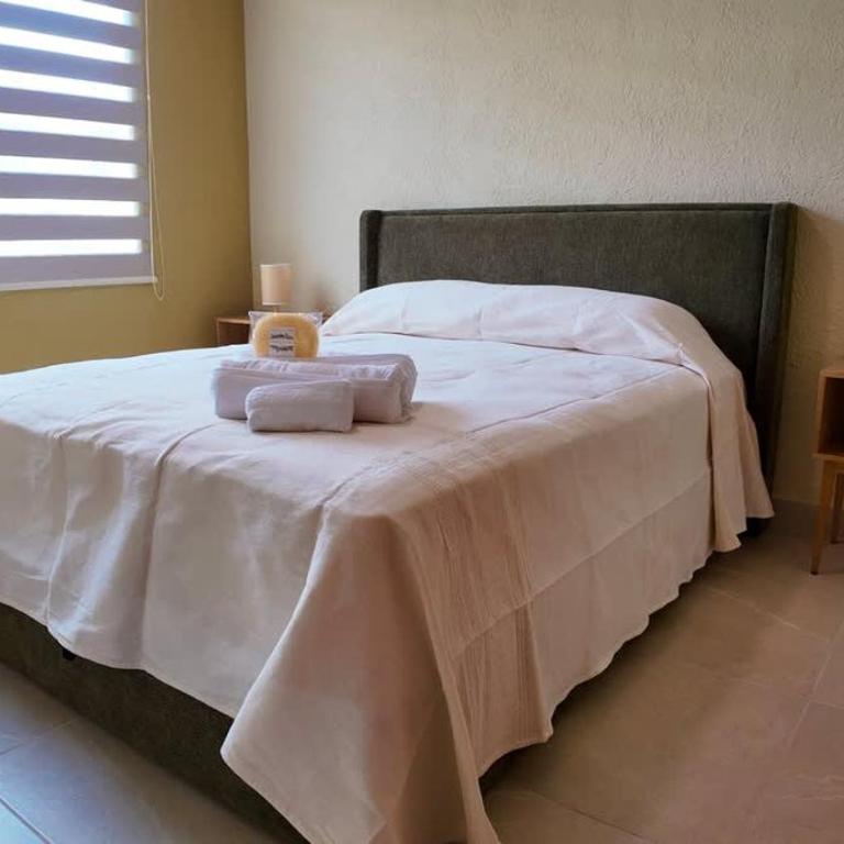 Ground Floor Apartment for FIFA World Cup 2026 - One-Bedroom Apartment - 30