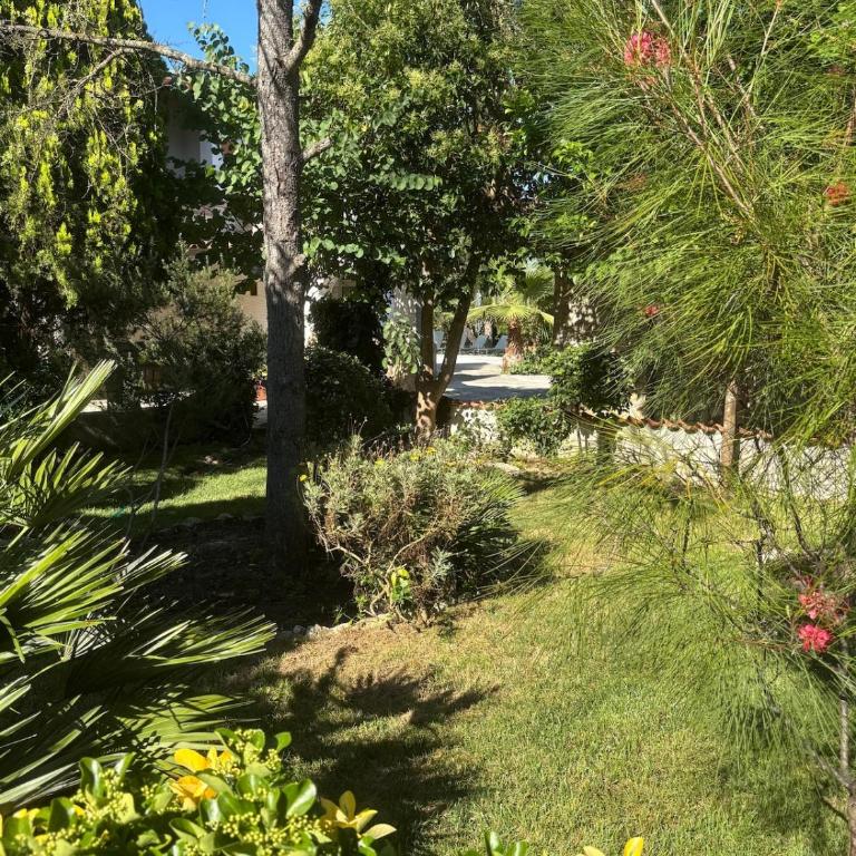 Essentìa Dimora Salento - Laurus - Appartement 2 Chambres - 12
