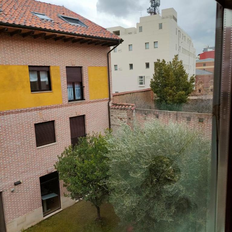 Apartamento Setas - Apartamento de 1 dormitorio - 5