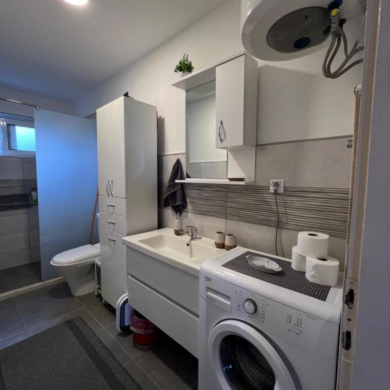 Apartments Andrović - Apartman sa 2 Spavaće Sobe, Terasom i Pogledom na More - 12