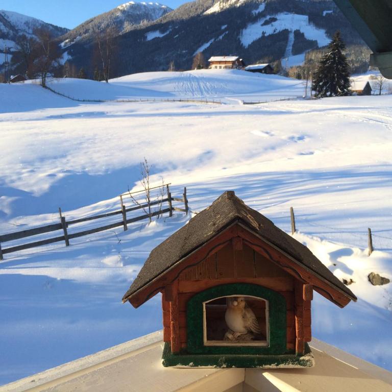 Appartement Alpenblume - Apartment mit 2 Schlafzimmern und Sauna - 2