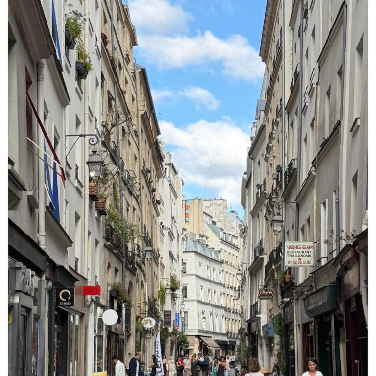 Duplex AC, open terrasse, Paris center - Appartement 2 Chambres - 6