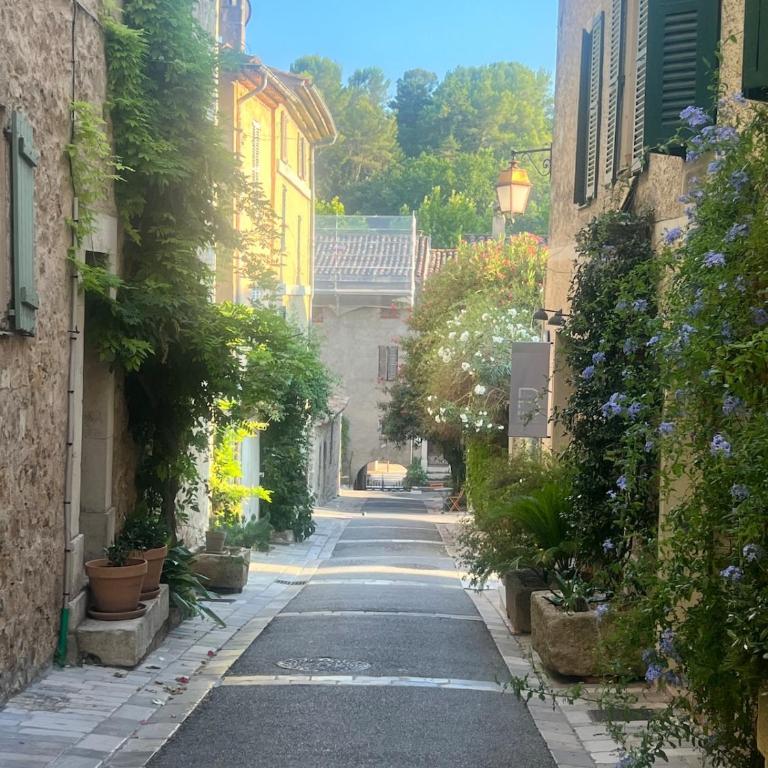 Provençal Villa with gym sauna, 5 min walk Valbonne - Villa - 42