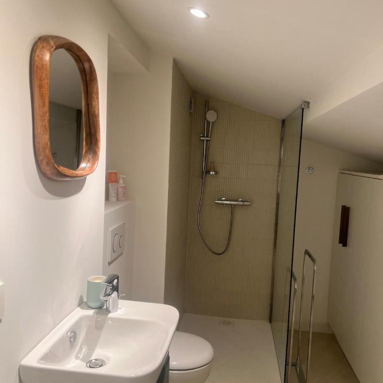 Provençal Villa with gym sauna, 5 min walk Valbonne - Villa - 43