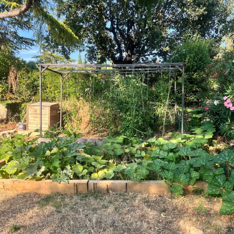 Provençal Villa with gym sauna, 5 min walk Valbonne - Villa - 45