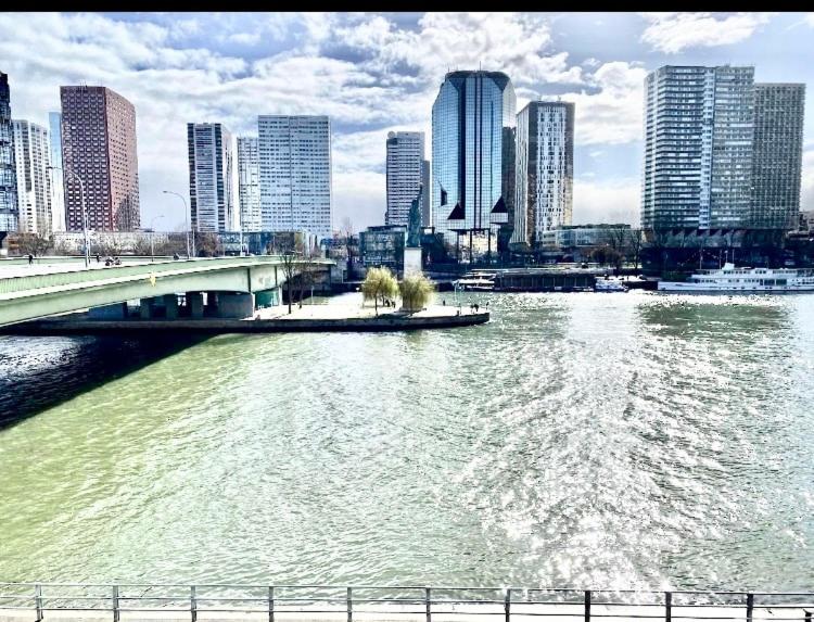Splendid view near Eiffel Tower, - Appartement 2 Chambres - 11