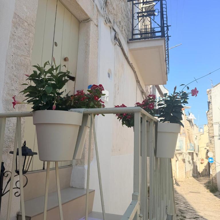 La Casetta Sobb a Sil - One-Bedroom House - 64