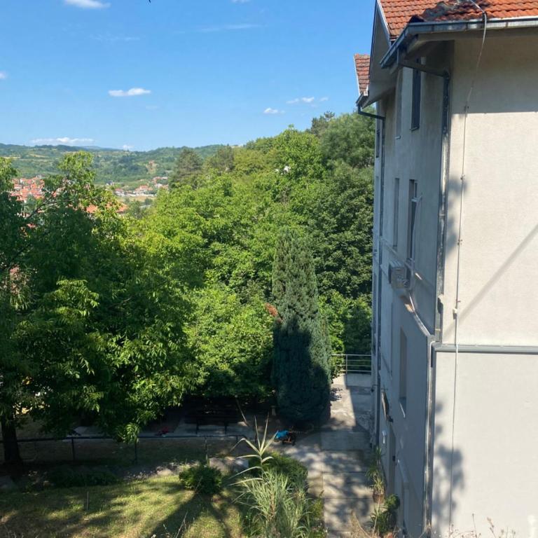 Forest Escape - Appartement 1 Chambre - 22