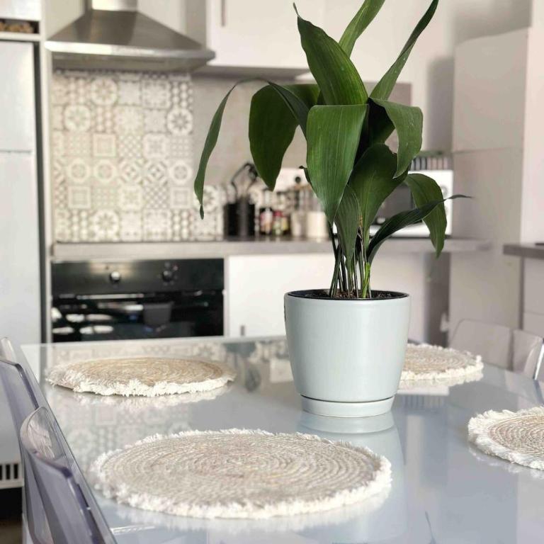 Appartement Chaleureux - Appartement 1 Chambre - 3