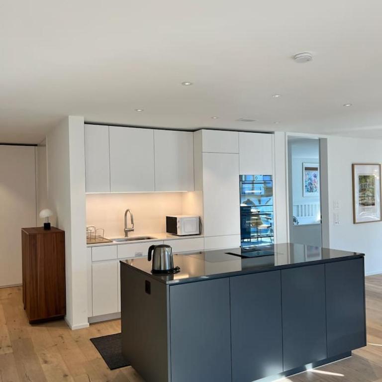 Jungfrau View Luxury Apartment at Interlaken West Station with Terrace and AC - Apartment - 8