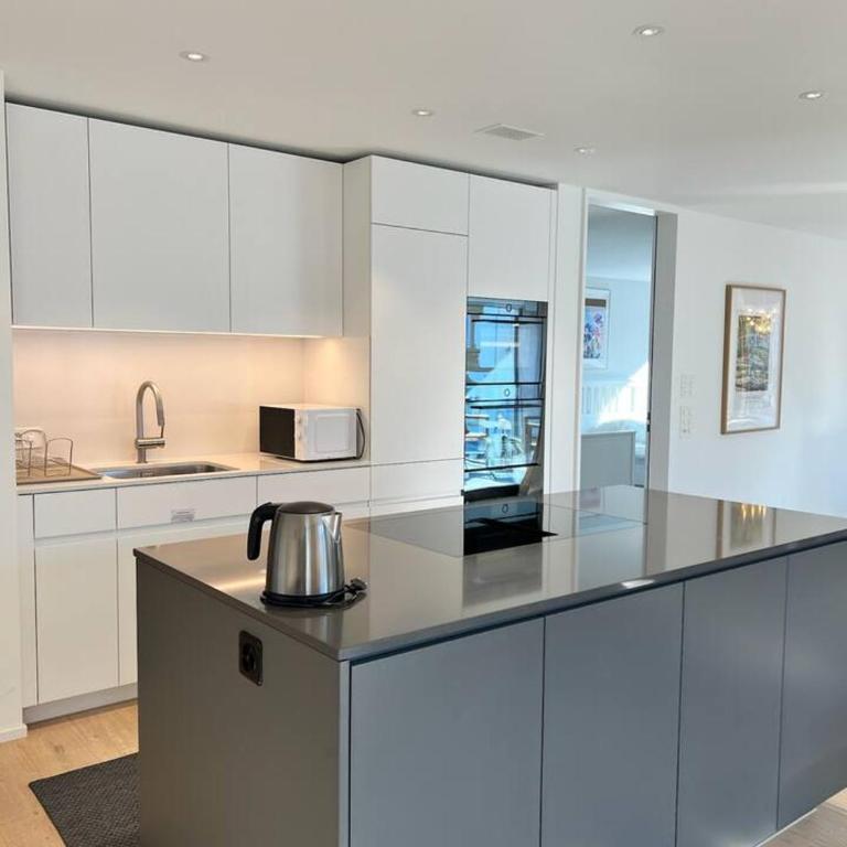 Jungfrau View Luxury Apartment at Interlaken West Station with Terrace and AC - Apartment - 33