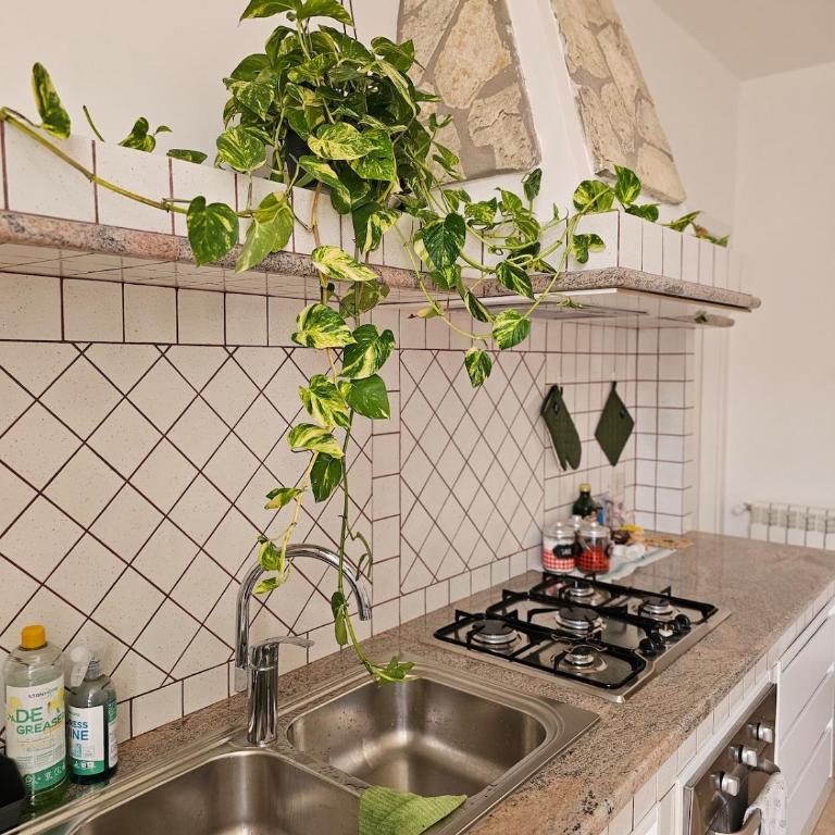 House in Terrasini near the sea and the center - Appartamento con 3 Camere da Letto - 10