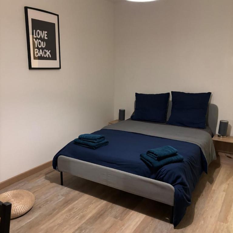 Charming 3 rooms - Mulhouse center - Two-Bedroom Apartment - 6