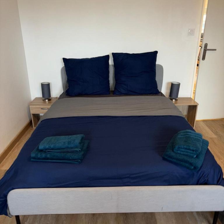 Charming 3 rooms - Mulhouse center - Two-Bedroom Apartment - 8