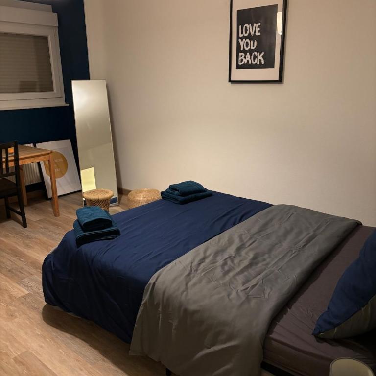 Charming 3 rooms - Mulhouse center - Two-Bedroom Apartment - 15