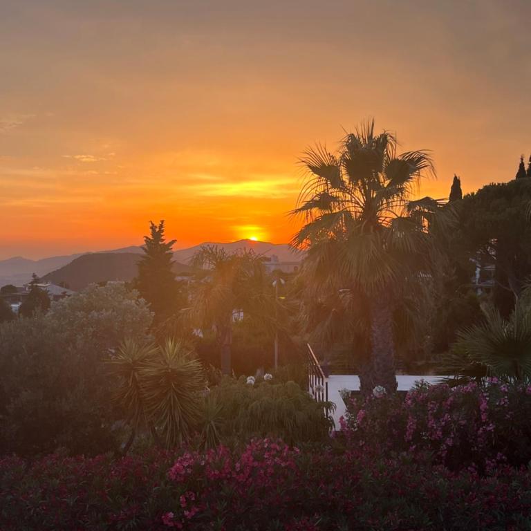 Appart T3 dans villa Carqueiranne La Californie - Appartement 2 Chambres - 2