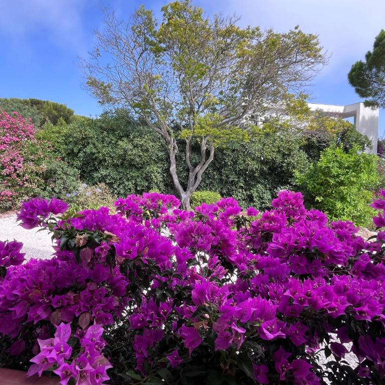 Appart T3 dans villa Carqueiranne La Californie - Appartement 2 Chambres - 11