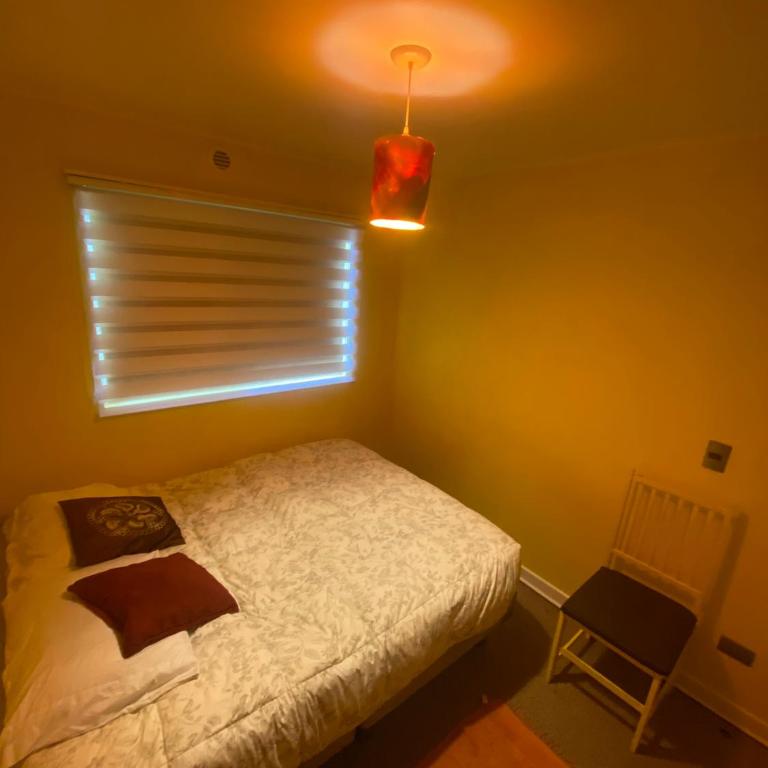 Comoda Habitación doble con baño compartido y estacionamiento gratis - Habitación Doble Estándar con baño compartido - 29