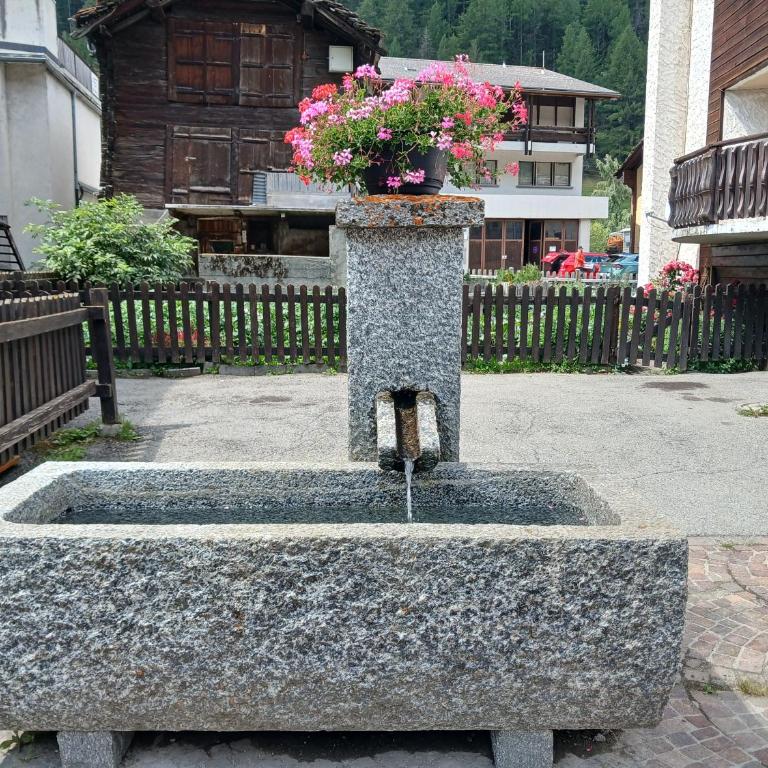 Wohnung in Saas Grund - Apartment mit 3 Schlafzimmern - 30