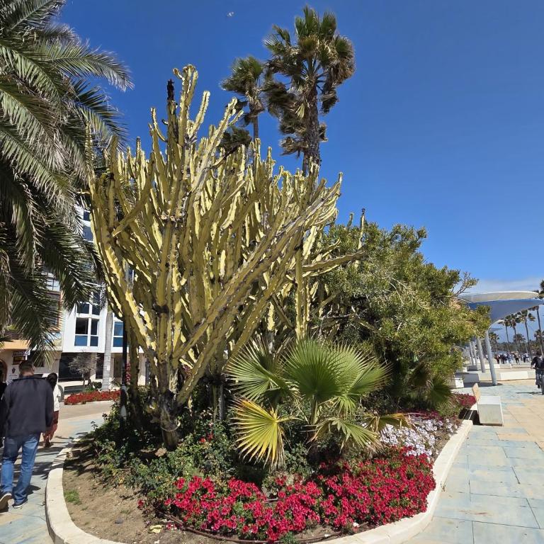 Sea View Penthouse Apartment with Hot Tub - Casa Bella Vista, Buenas Noches , Estepona - Appartement 3 Chambres - 85