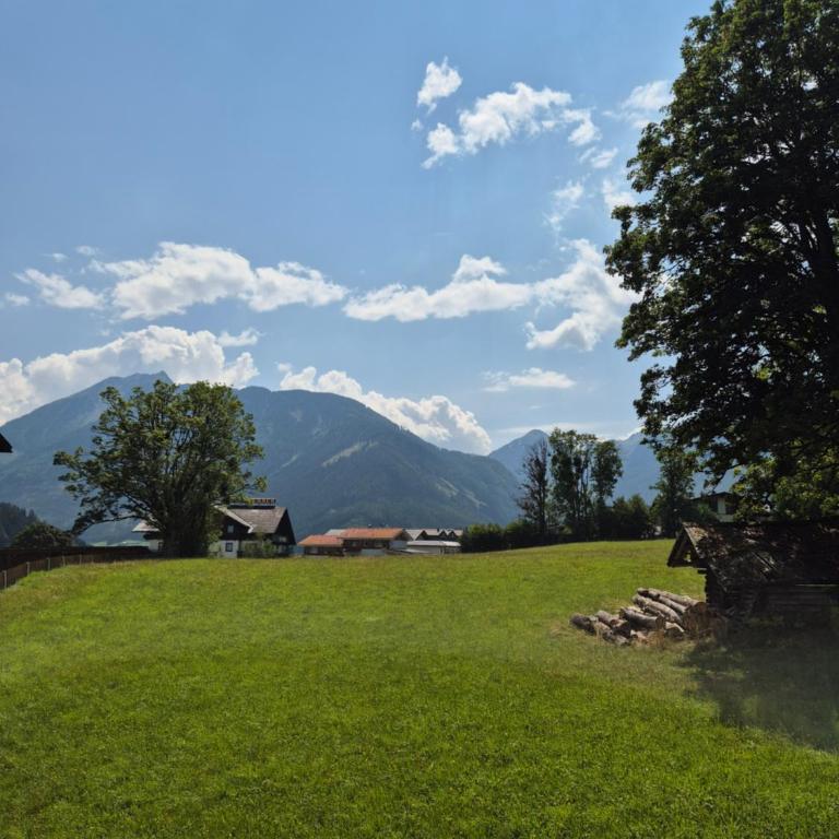 Haus Beutle - Apartment - 16