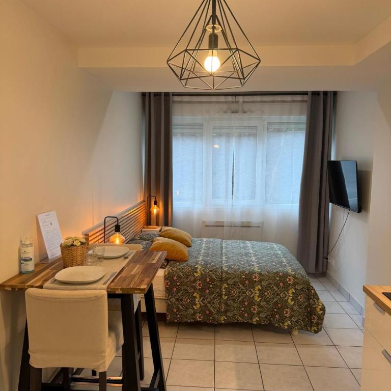 Apt Lyon Flachet - Apartamento de 1 dormitorio - 1
