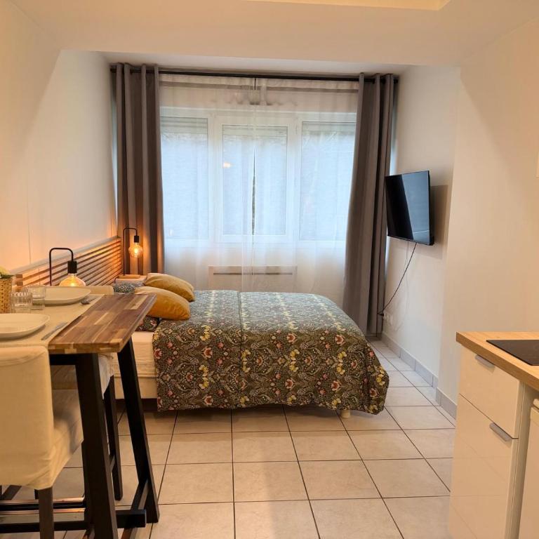 Apt Lyon Flachet - Apartamento de 1 dormitorio - 11