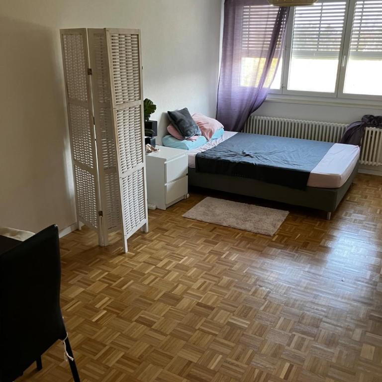 Cosy Studio in Morges - One-Bedroom Apartment - 2