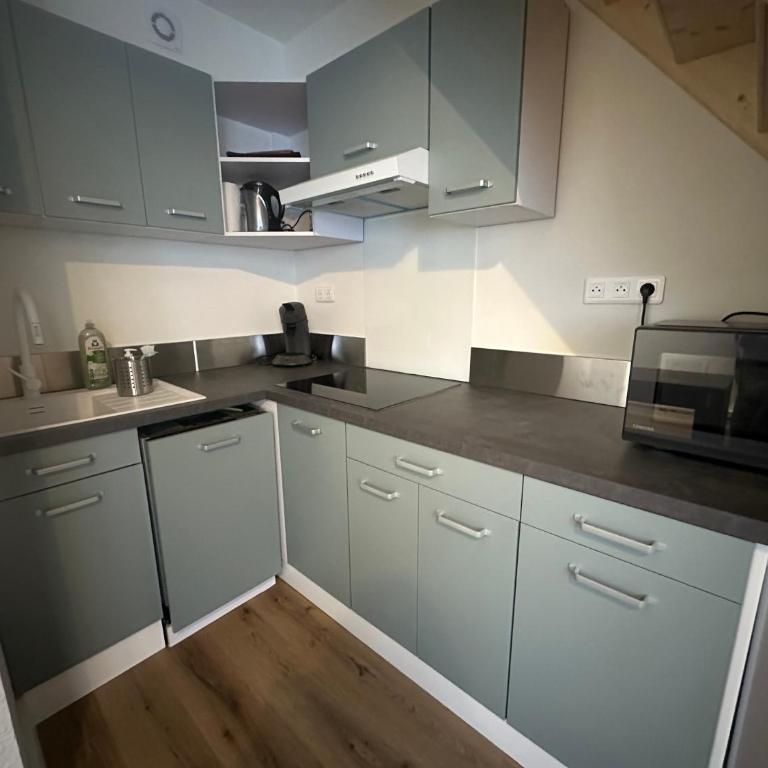 Le Cocon du Mercantour - Appartement 1 Chambre - 14
