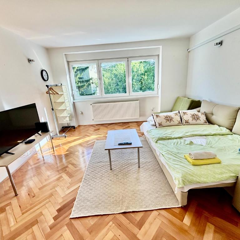 Apartment in Center - Great Location! - One-Bedroom Family Apartment - 11