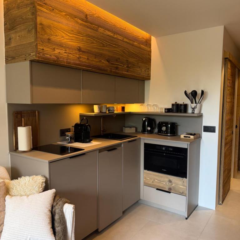 L'écrin de l'aiguille - Appartement 1 Chambre - 3