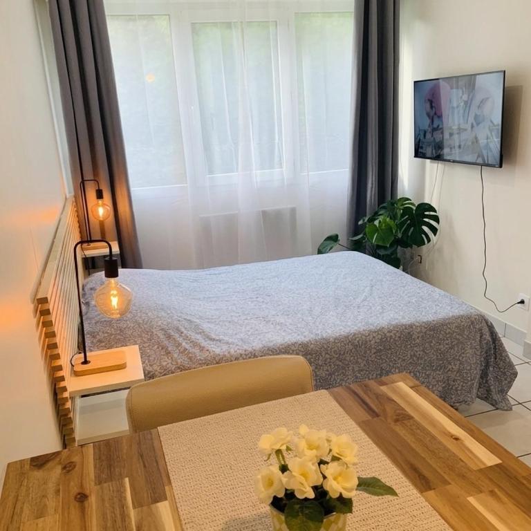 Apt Lyon Flachet - Apartamento de 1 dormitorio - 10