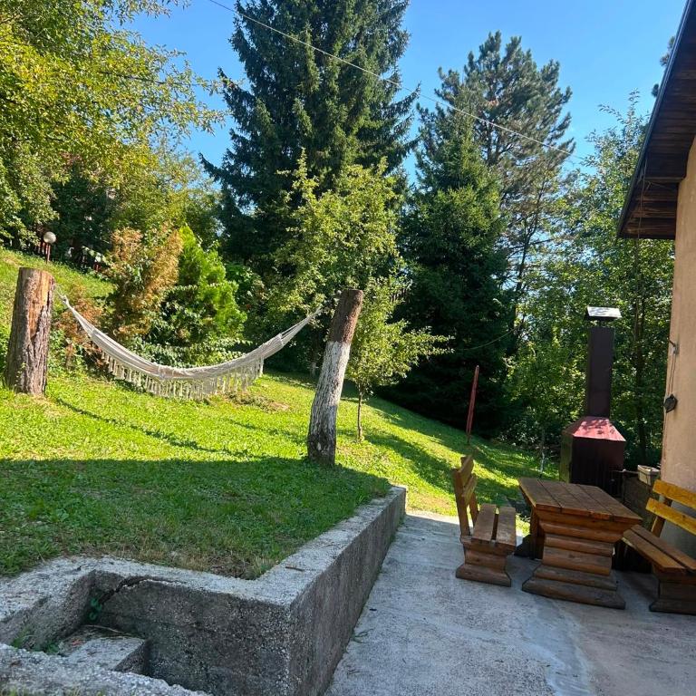 Piccola foresta - Apartment - 5