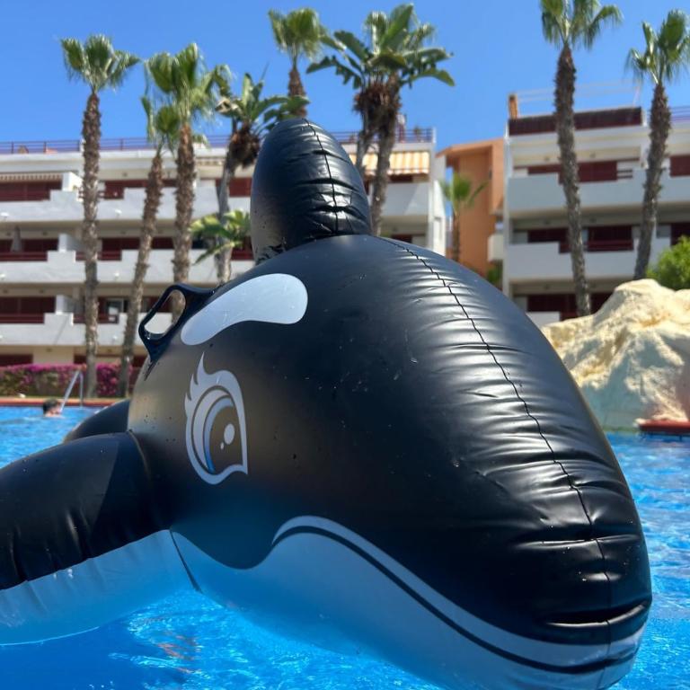 Summer Heaven Modern Apartment big terrace 2 pools Playa Flamenca - Apartamento de 3 dormitorios - 22