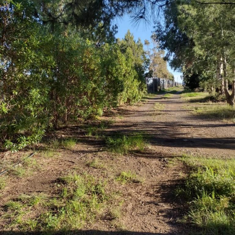 Cabaña Paralelo 1 - Casa de 2 dormitorios - 23