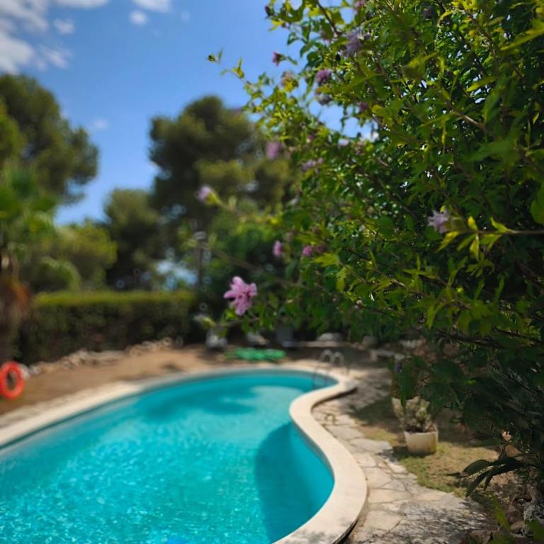 Villa near the beach with fantastic sea views with swimming pool - Villa - 9