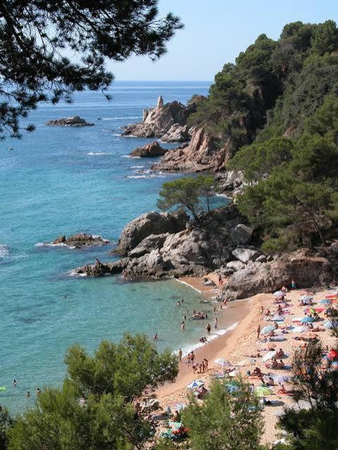 Villa near the beach with fantastic sea views with swimming pool - Villa - 17