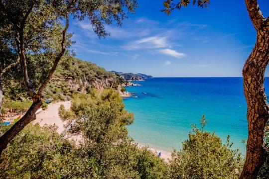 Villa near the beach with fantastic sea views with swimming pool - Villa - 28