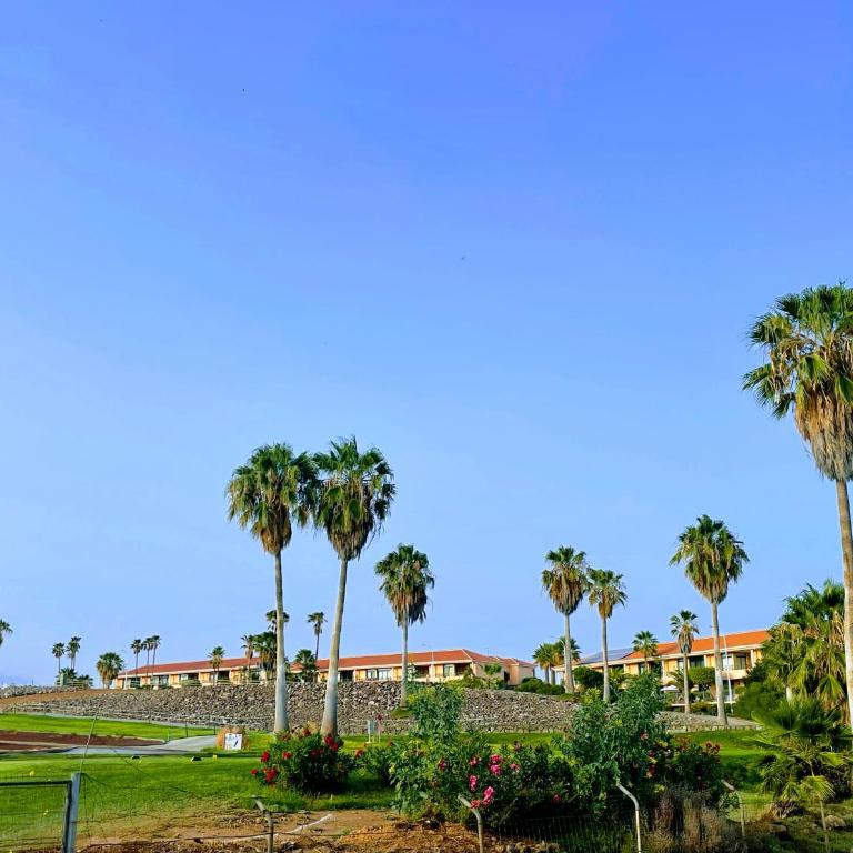 Terrazas 532 - One-Bedroom Apartment - 23
