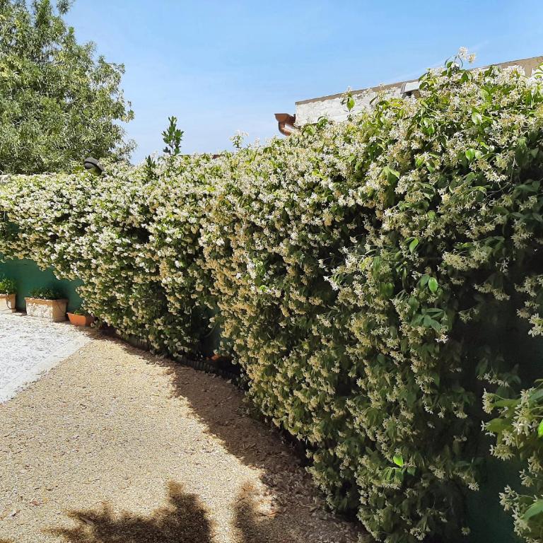 Holiday home in Villa with large terrace and garden - Casa con 3 Camere da Letto - 8