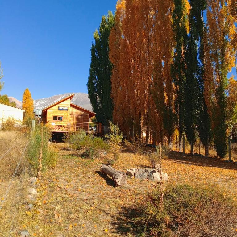 Amor Amarillo Cabaña de Montaña - One-Bedroom House - 46