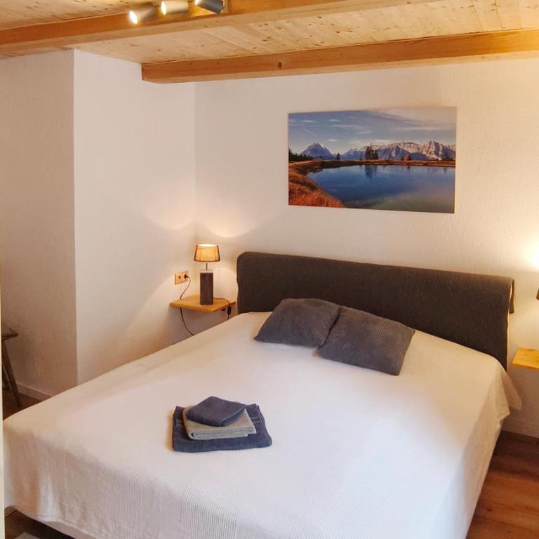 Haus am Seebach Leutasch Weidach - Apartment mit 2 Schlafzimmern - 8