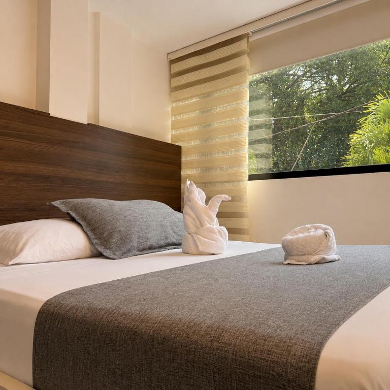 Hotel Laureles Palo Alto - Deluxe Double Room - 11