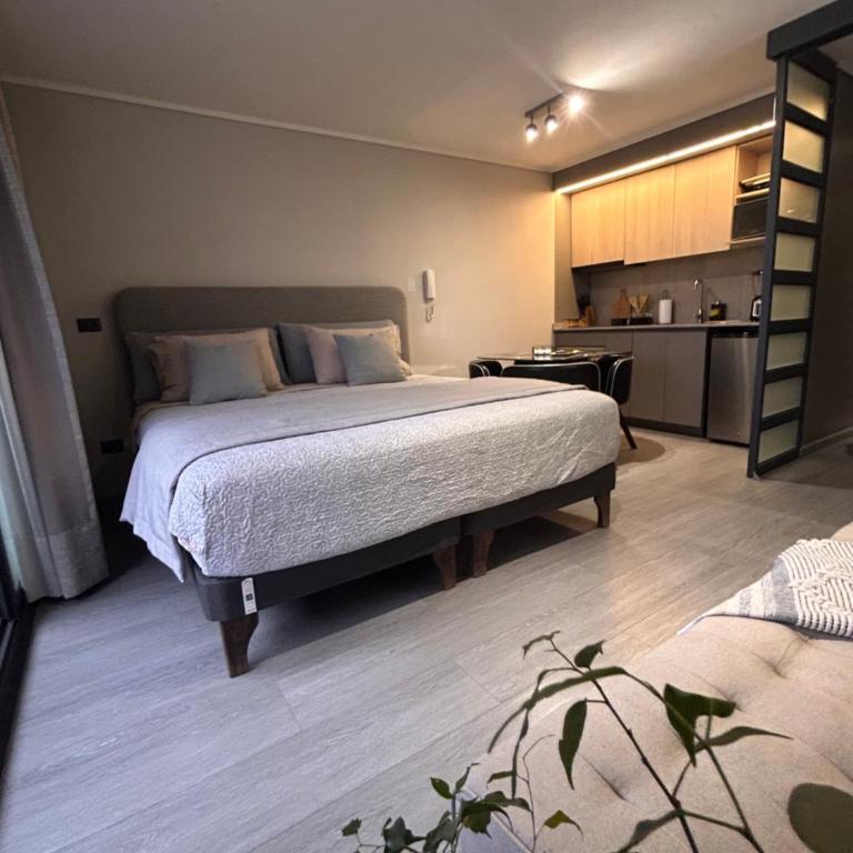 King Studio Santiago Centro Cerca Movistar Arena y Fantasilandia - One-Bedroom Apartment - 2